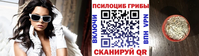 где купить ОМГ ОМГ ссылки Псилоцибиновые грибы Magic Shrooms Вологда