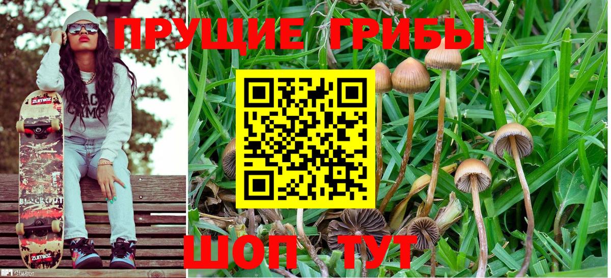 Псилоцибиновые грибы GOLDEN TEACHER  Вход с VPN  Вологда 