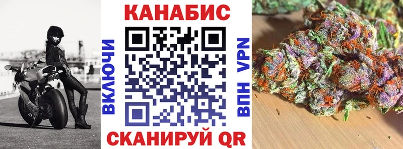 цена   Вологда  Канабис сатива 